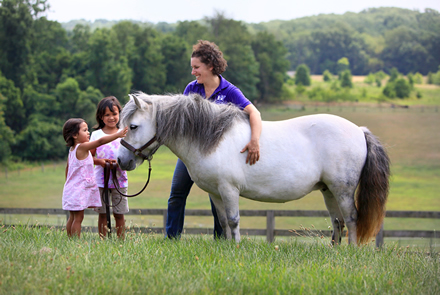 happy pony, happy kids
