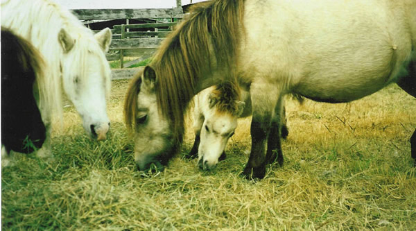 Photo of Petoot and Mom